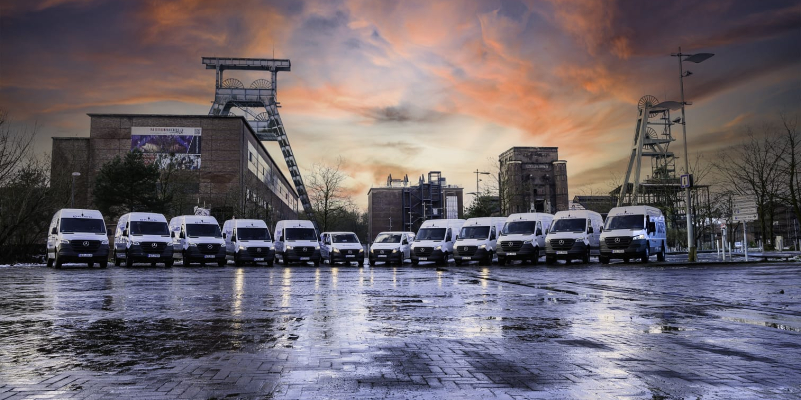 Sales Manager International (m,w,d) - Schwerpunkt EMEA