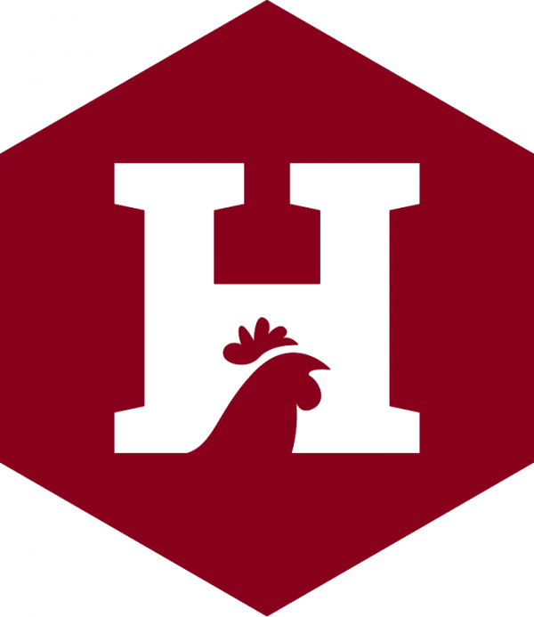 Huhn Group